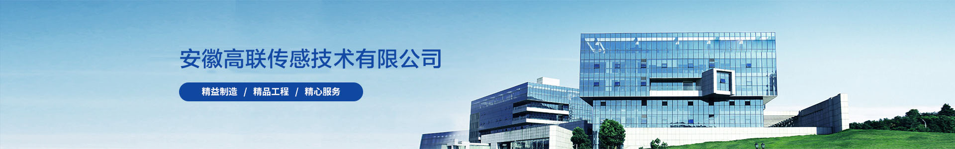 安徽高联传感技术有限公司